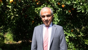 Limona talep arttı, yeteri kadar ürün var
