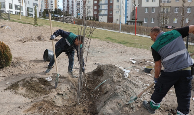 Talas’ta ağaçlandırma sezonu açıldı!