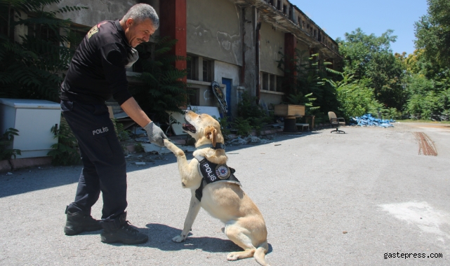 Uyuşturucu tacirlerinin korkulu rüyası 'Jack'