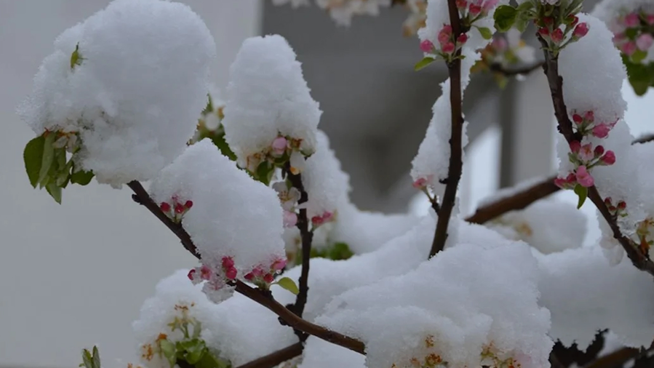 Baharı 10 gün daha unutun! Kar bastıracak Meteoroloji 12 ili sıraladı!