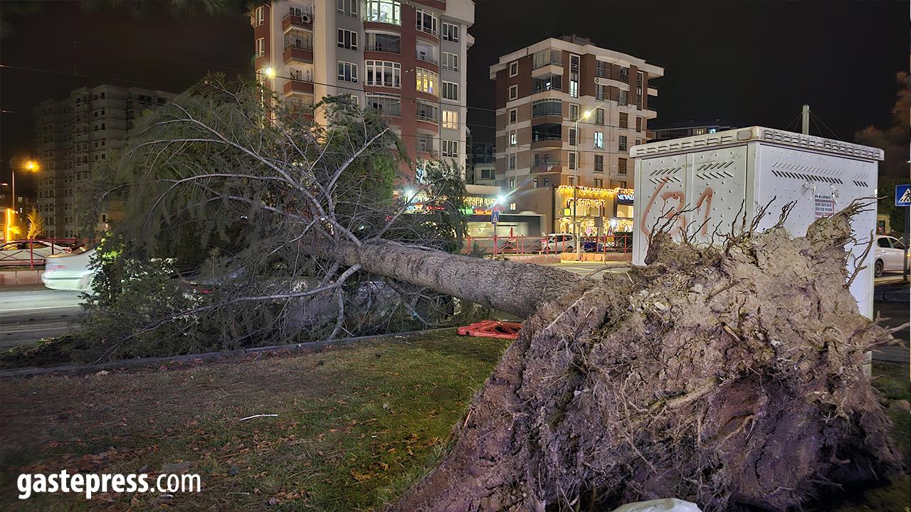 Meteoroloji’den Kayseri İçin Kuvvetli Rüzgar ve Fırtına Uyarısı!