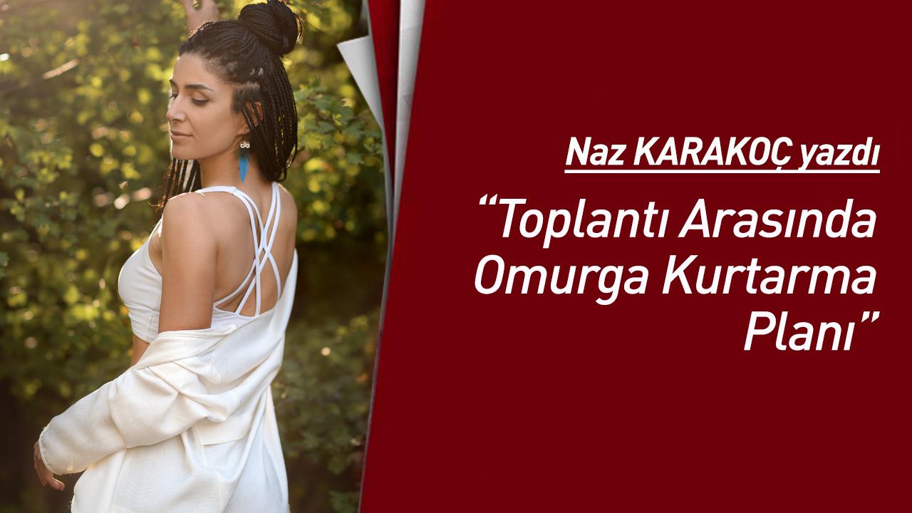 Toplantı Arasında Omurga Kurtarma Planı