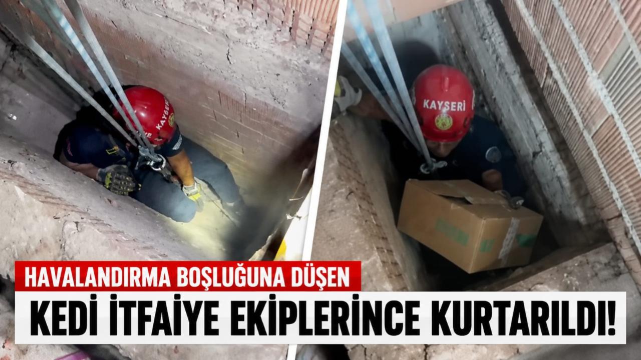 Havalandırma boşluğuna düşen kedi itfaiye ekiplerince kurtarıldı!
