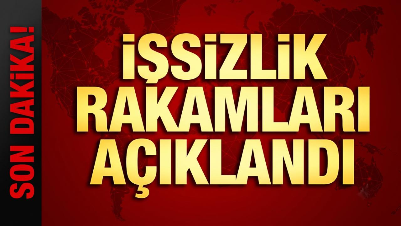 İşsizlik Mayısta Yüzde 8,2 ile Değişmedi!
