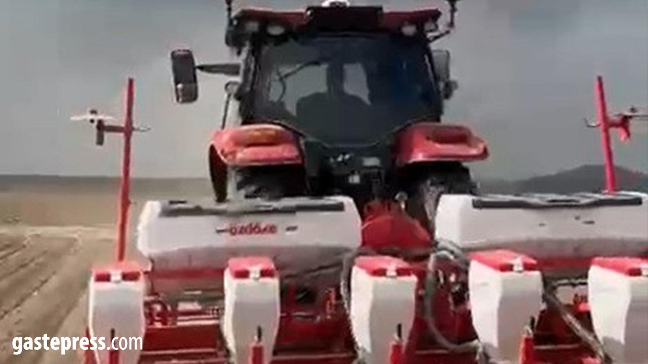 Kabak Çekirdeği Üretiminin Merkezi Tomarza’da Ekim Sezonu Başladı!