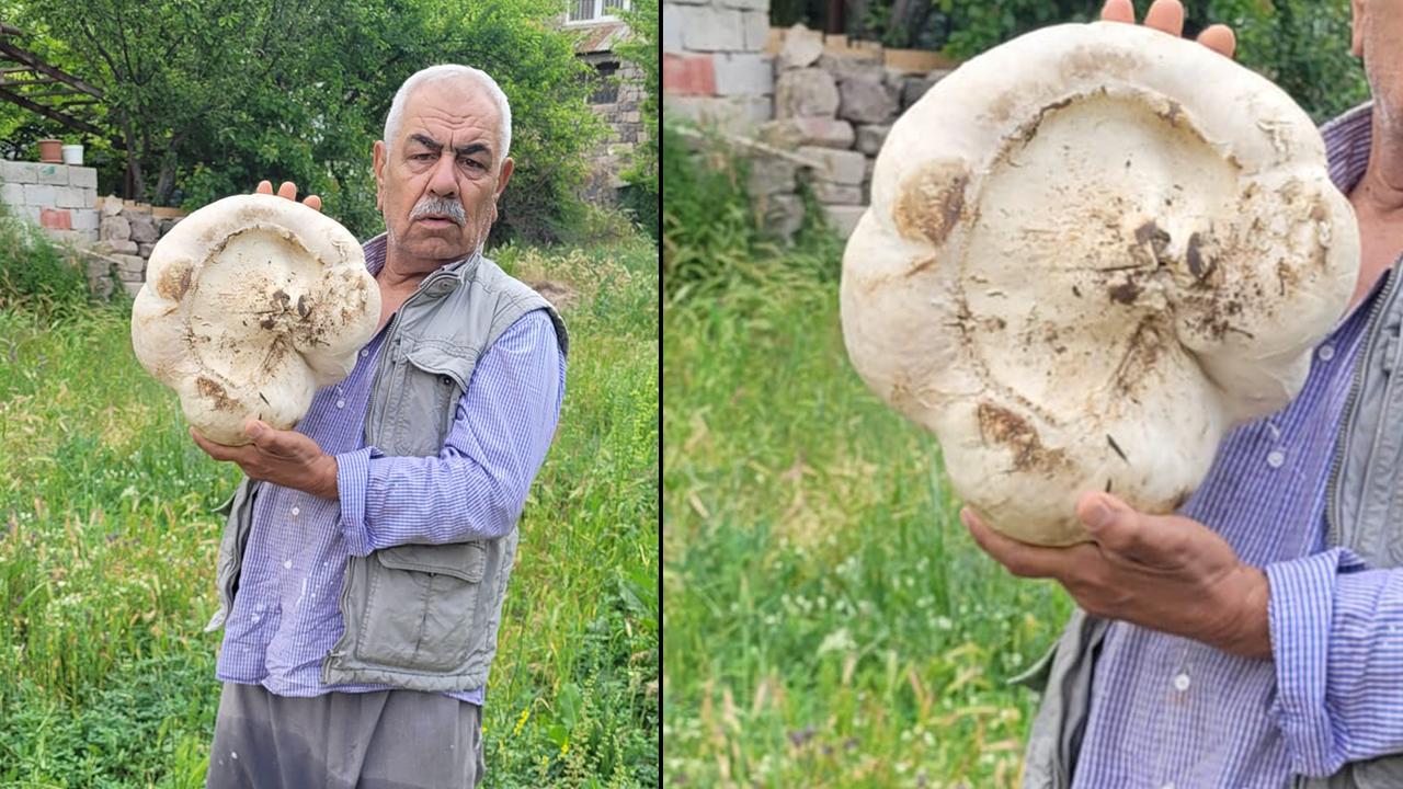 Kayseri’de Dev Mantar Şaşkınlığı! Bünyan’da 3 Kilo 400 Gramlık Mantar Bulundu!