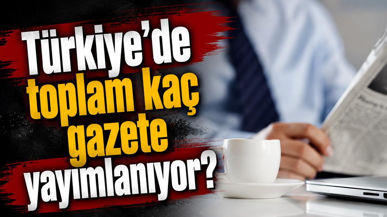 İstatistikler netleşti: Türkiye'de toplam kaç gazete yayımlanıyor?