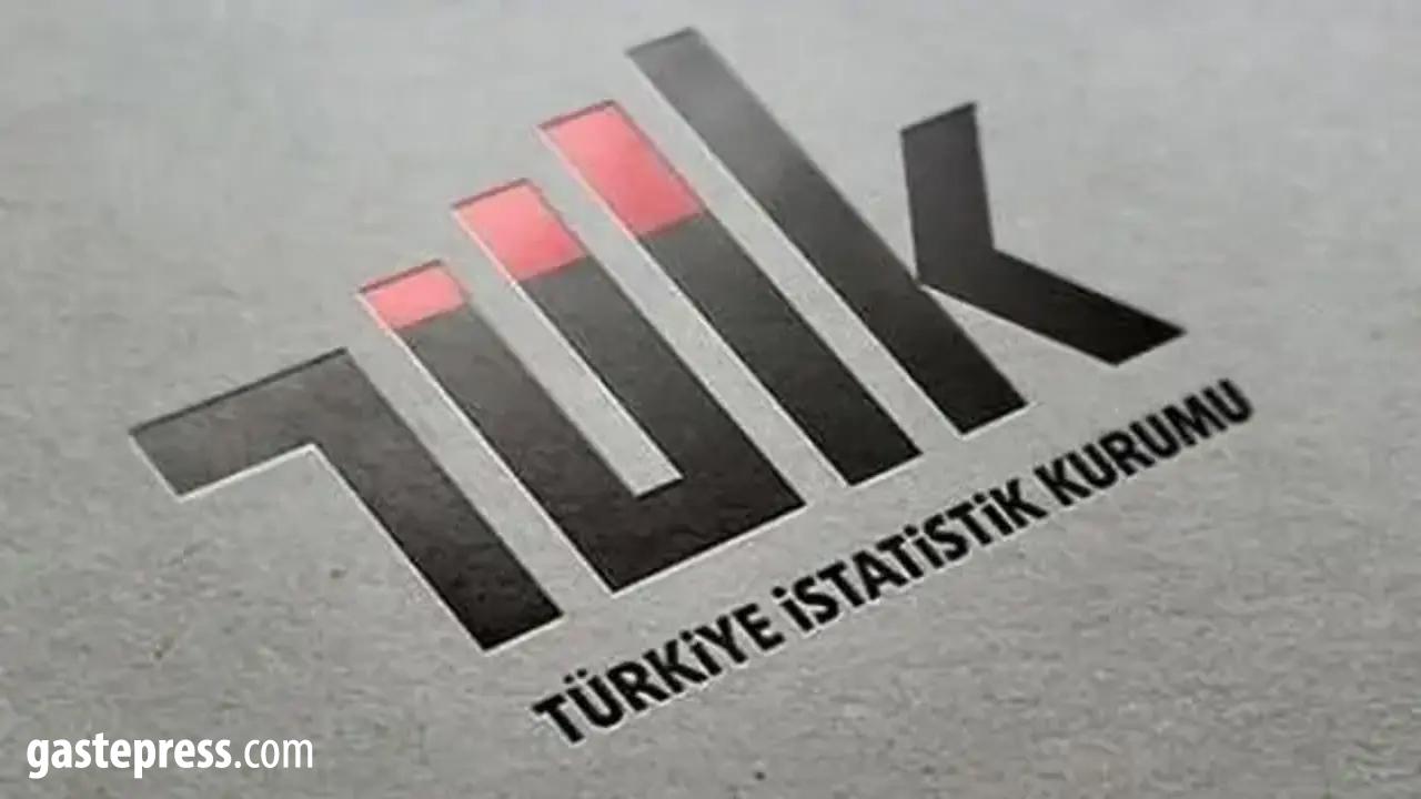 TÜİK Açıkladı: Haziran Ayının En Çok Kazandıran Yatırım Aracı Belli Oldu!